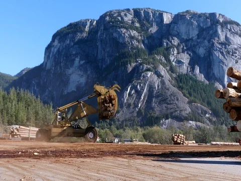 Timber loader working forestry industry beautiful landscape Stock Footage 80499285