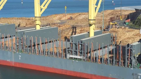 Timber loading industrial port cargo ship - New Zealand Stock Footage 76374582
