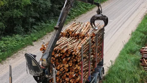Timber Loading In Latvia - Birch Logs Moved By Crane Along A Forest Road Stock Footage 345474432