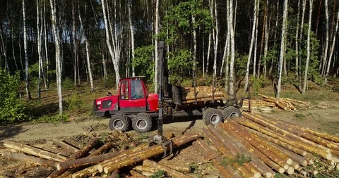 Timber loading, loading logs into a truck, timber processing, deforestation Stock Footage 101057539