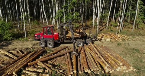 Timber loading, loading logs into a truck, timber processing, deforestation Stock Footage 101662880