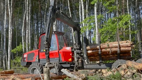 Timber loading, loading logs into a truck, timber processing, deforestation Stock Footage 102317392