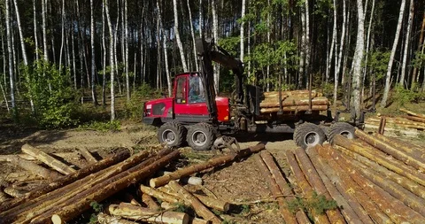Timber loading, loading logs into a truck, timber processing, deforestation Stock Footage 102342417