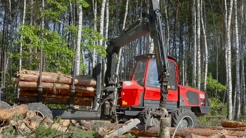 Timber loading, loading logs into a truck, timber processing, deforestation Stock Footage 102398953