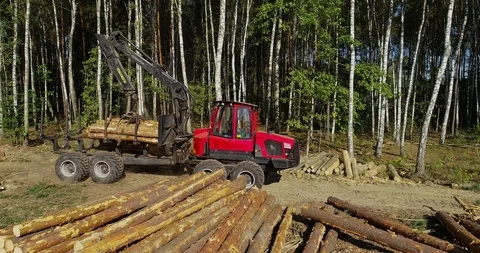 Timber loading, loading logs into a truck, timber processing, deforestation Stock Footage 102454909