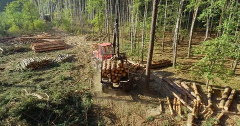 Timber loading, loading logs into a truck, timber processing, deforestation Stock Footage 102572919