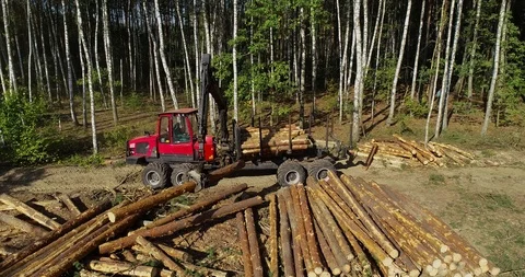 Timber loading, loading logs into a truck, timber processing, deforestation Stock Footage 103615676