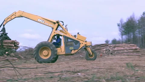 Timber Loading Logs In The Forest during Deforestation process, panning Stock Footage 136211268