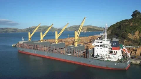 Timber loading port cargo ship - New Zealand Stock Footage 76376260