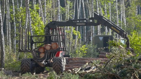 Timber loading, timber processing, deforestation, timber loading with a claw Stock Footage 105035667