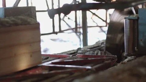 Timber log cutting on metal circular saw in machine at woodwork factory Stock Footage 85203561