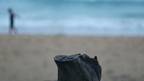 Timber log dry trunk tree look like table for put your product on, blur sea w Stock Footage 132799678