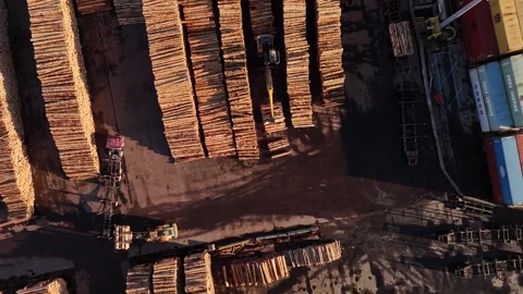 Timber log stacks and shipping containers at an industrial port. Stock Footage 341460313