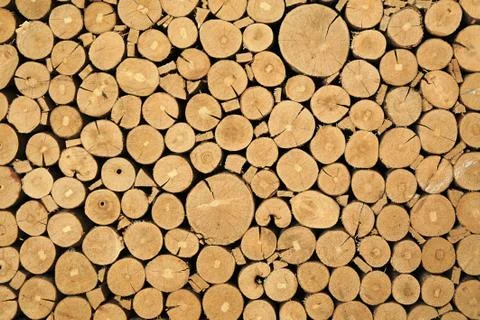 Timber logs Stock Photos