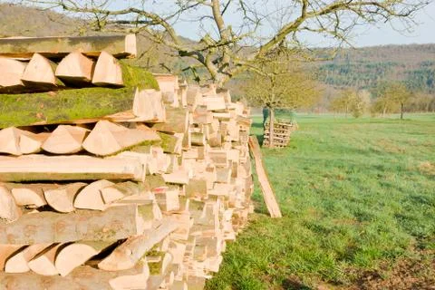 Timber logs Stock Photos