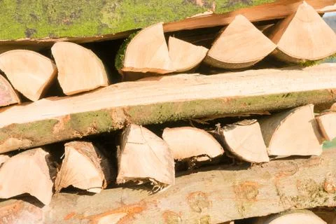 Timber logs Stock Photos