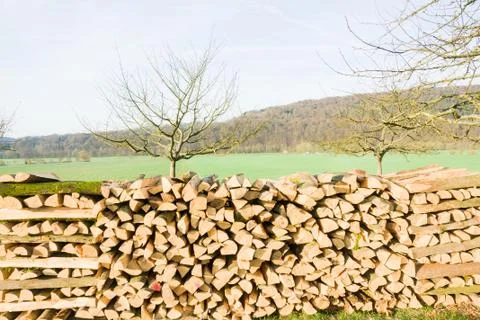 Timber logs Stock Photos