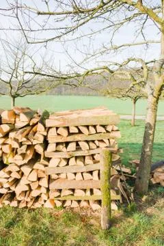 Timber logs Stock Photos