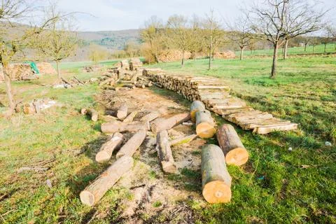 Timber logs Stock Photos