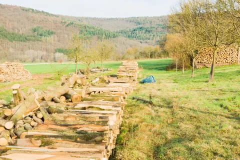 Timber logs Stock Photos