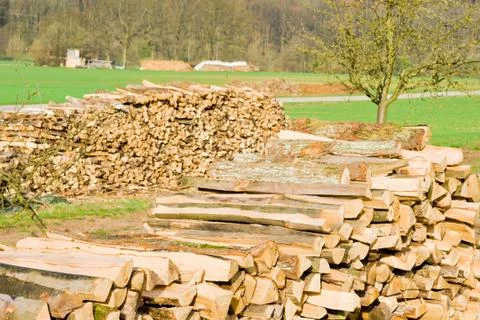 Timber logs Stock Photos