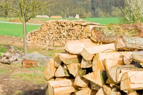 Timber logs Stock Photos