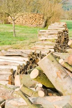 Timber logs Stock Photos