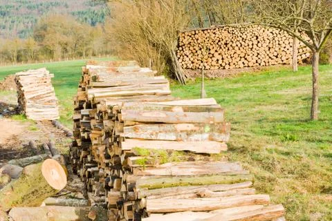 Timber logs Stock Photos