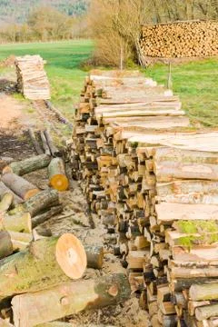 Timber logs Stock Photos