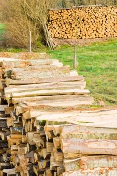 Timber logs Stock Photos