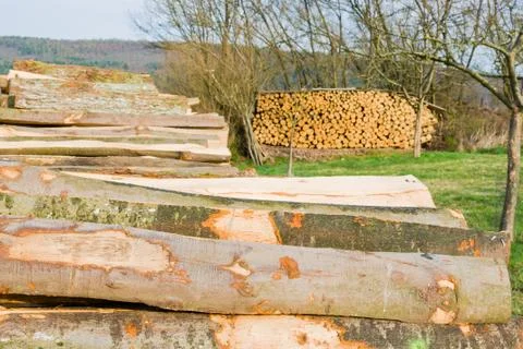 Timber logs Stock Photos