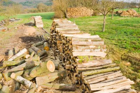 Timber logs Stock Photos