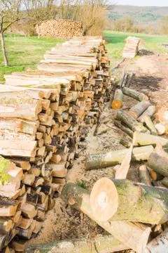Timber logs Stock Photos