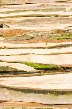 Timber logs Stock Photos