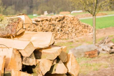 Timber logs Stock Photos