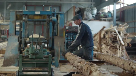 Timber Manufacturing Worker Rolls Tree Log On Workbench Near Saw Machine Stock Footage 208417890