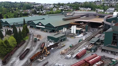 Timber mill facility processes logs near rail cars and stacked lumber, American Video stock 337746151