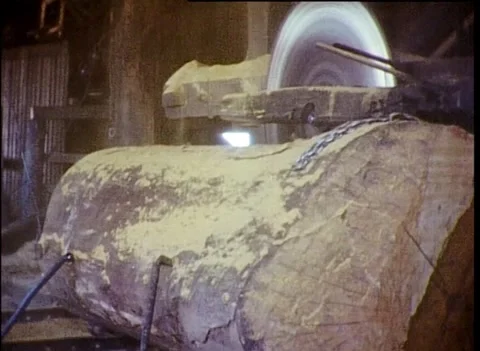 TIMBER MILL - OLD GROWTH EUCALYPTUS BEING CUT (1948) Video stock 257163509