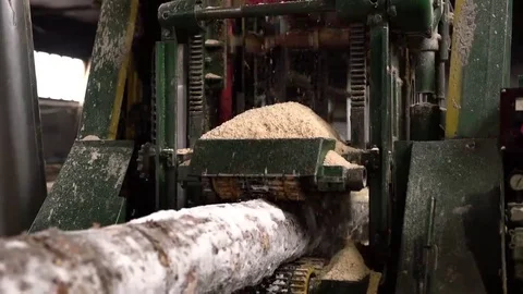 Timber mill. View of machine sawing log Video stock 69109712