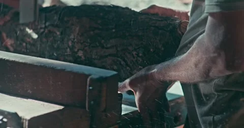 Timber Mill with Workers Cutting and Shaping Wood Stock Footage 320945507