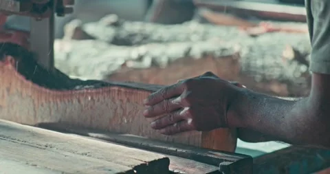 Timber Mill with Workers Cutting and Shaping Wood Stock Footage 320945613