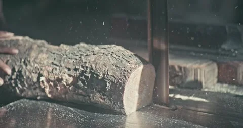 Timber Mill with Workers Cutting and Shaping Wood Stock Footage 320946153