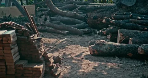 Timber Mill with Workers Cutting and Shaping Wood Stock Footage 320946162