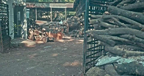 Timber Mill with Workers Cutting and Shaping Wood Stock Footage 320946179