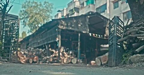 Timber Mill with Workers Cutting and Shaping Wood Stock Footage 320946190