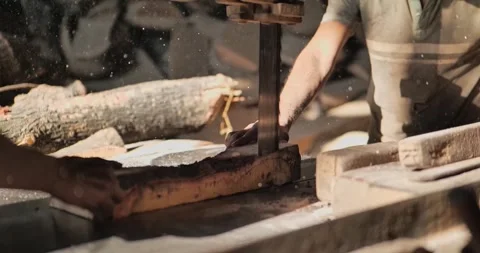 Timber Mill with Workers Cutting and Shaping Wood Stock Footage 320946223