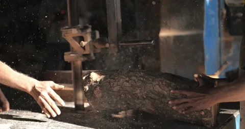 Timber Mill with Workers Cutting and Shaping Wood Stock Footage 320946230
