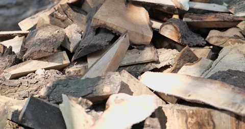 Timber Mill with Workers Cutting and Shaping Wood Stock Footage 320946278