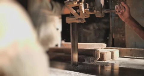 Timber Mill with Workers Cutting and Shaping Wood Stock Footage 320959646