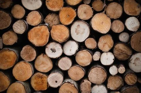 Timber Mosaic: Cut Log Pattern Elegance Foto stock